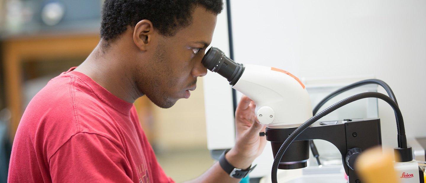 A man looking into a microscope.