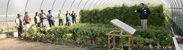 Sustainability Banner man standing in a greenhouse, pointing at a plant, with a group of students watching him