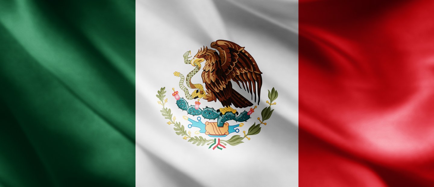 Mexican flag, eagle with a snake in its mouth perched on a cactus centered in a white background, green section to the left, red section to the right