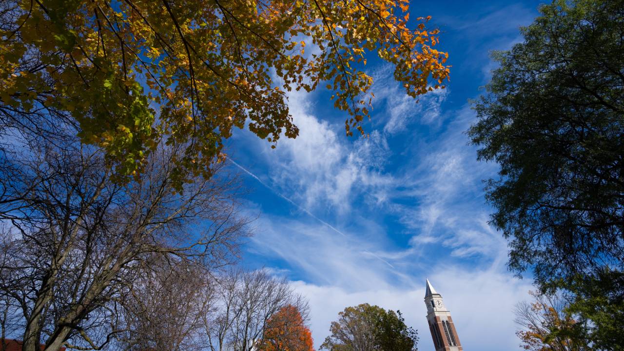 OU campus, blue sky, trees