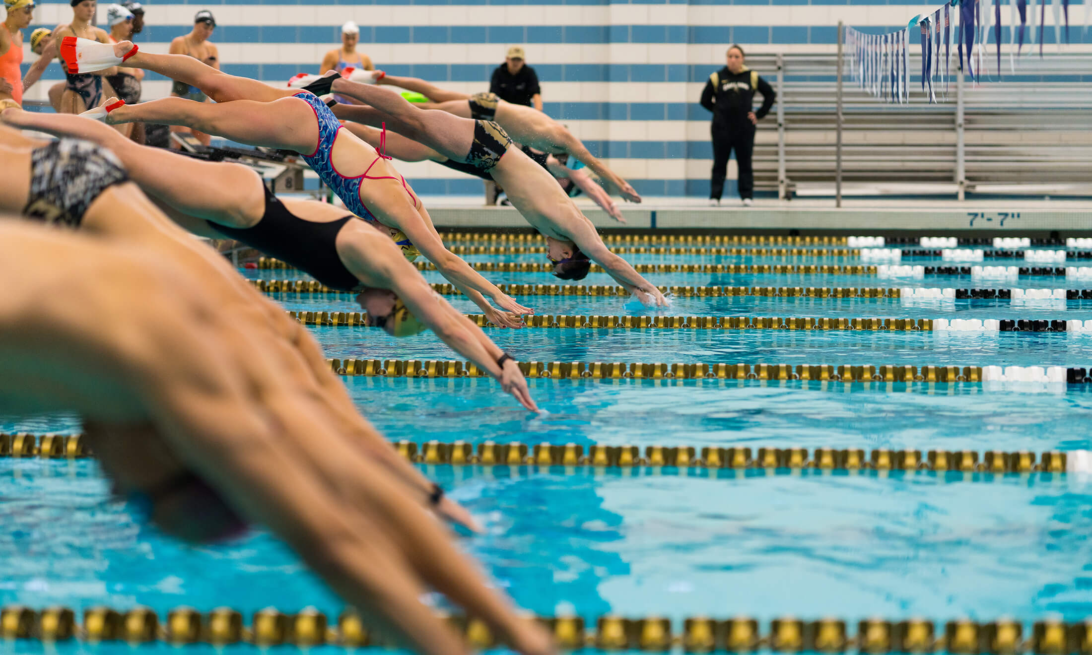 People swimming