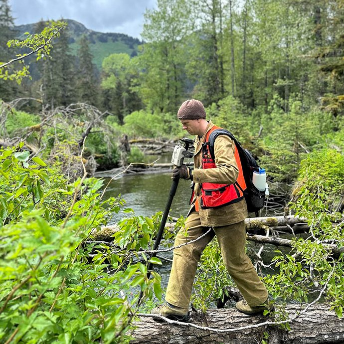 Person walking across a log to get over a creek