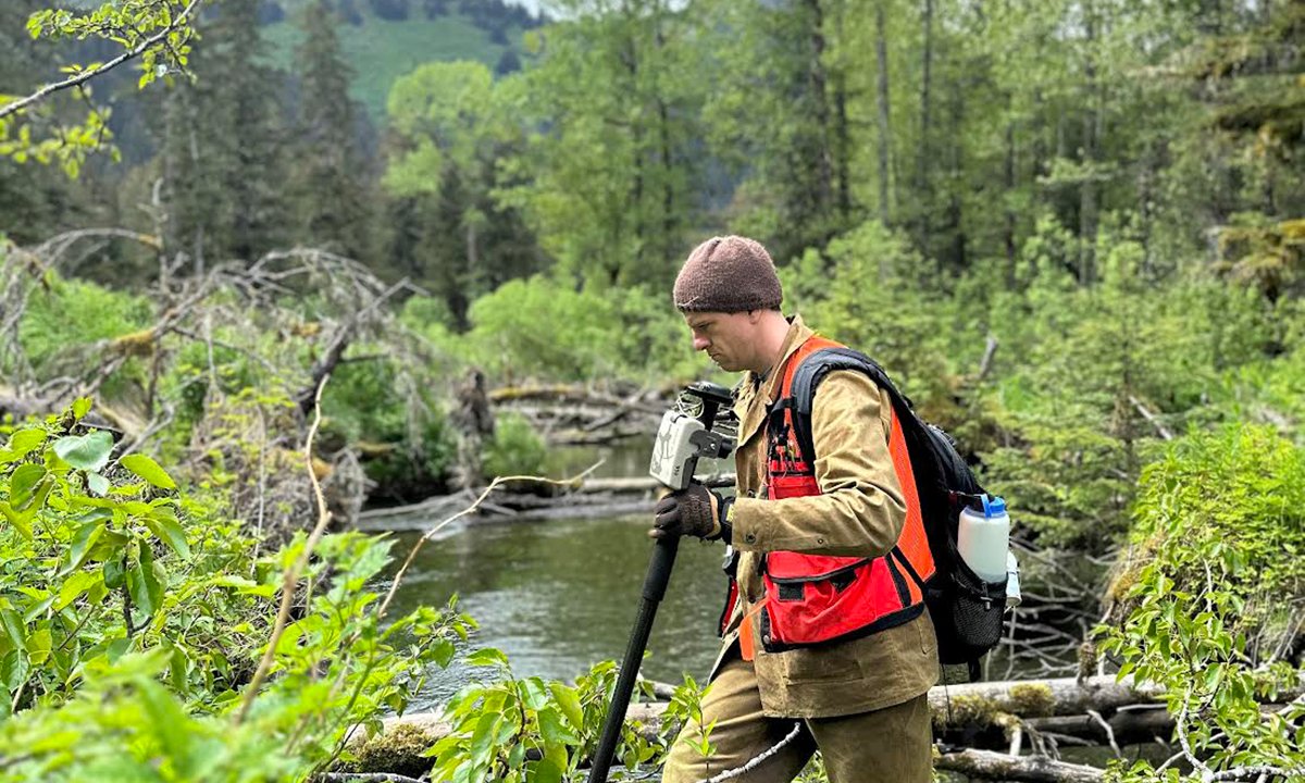Seeing the Trees to Save the Forests