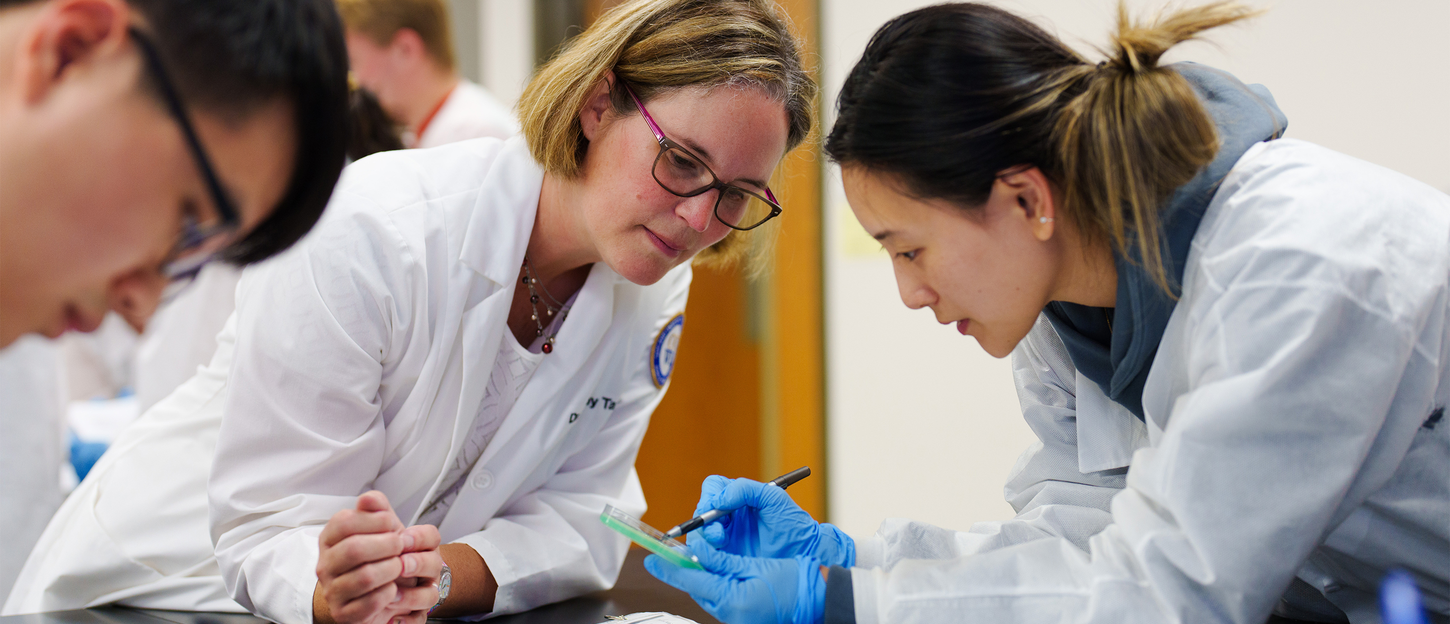 Educational Programs Banner An image from the microbiology lab