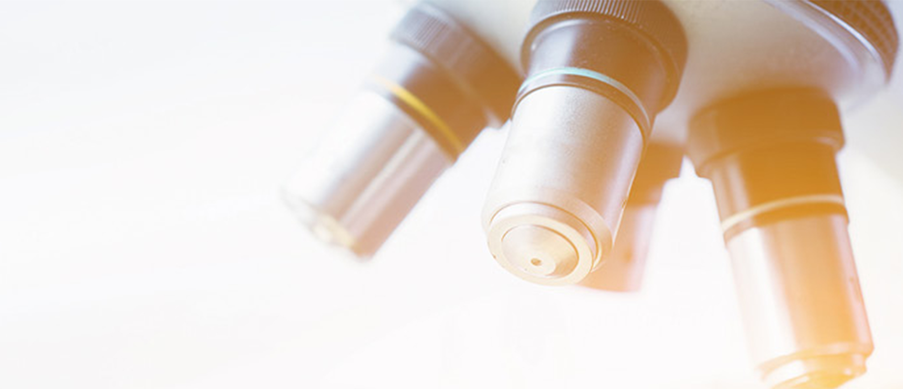 Embark - Colloquium Banner An image of a microscope