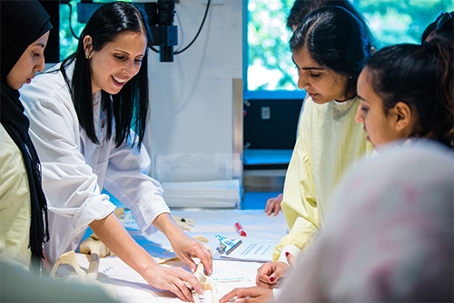 An image of Dr. Attardi in the anatomy lab