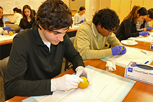 An OUWB student practices a clinical procedure on an orange