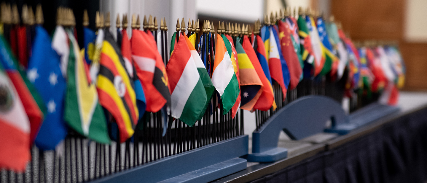 A display of flags of many different countries