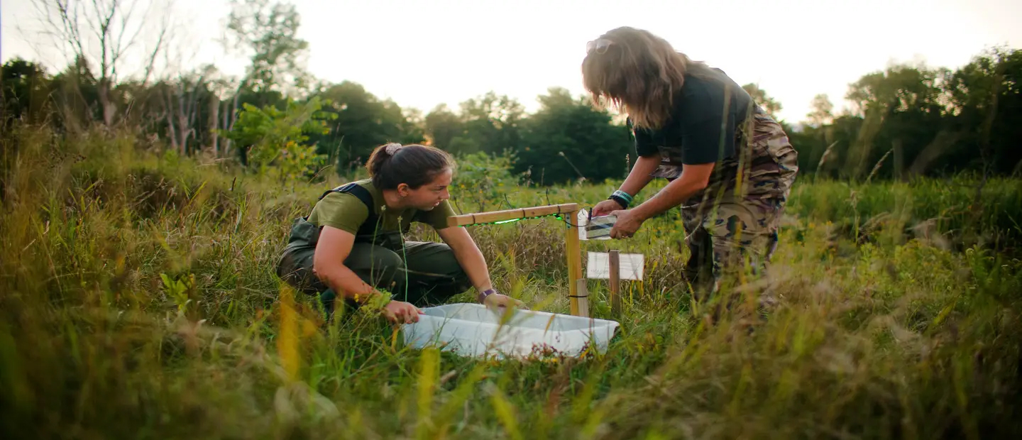 Two people in a field measuring light pollution