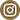 Instagran Icon Button