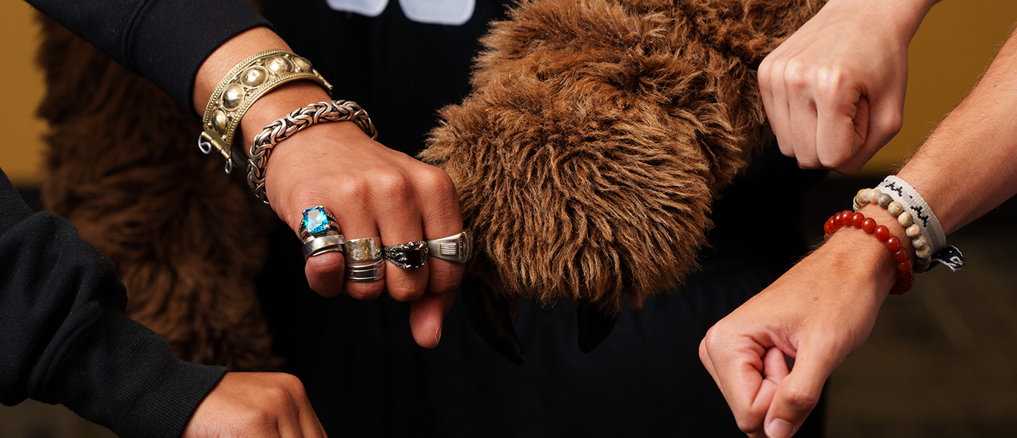 A group of four hands and the Grizz mascot paw