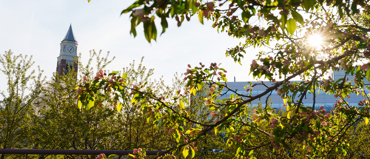 Shot of Elliot Tower behind leaves