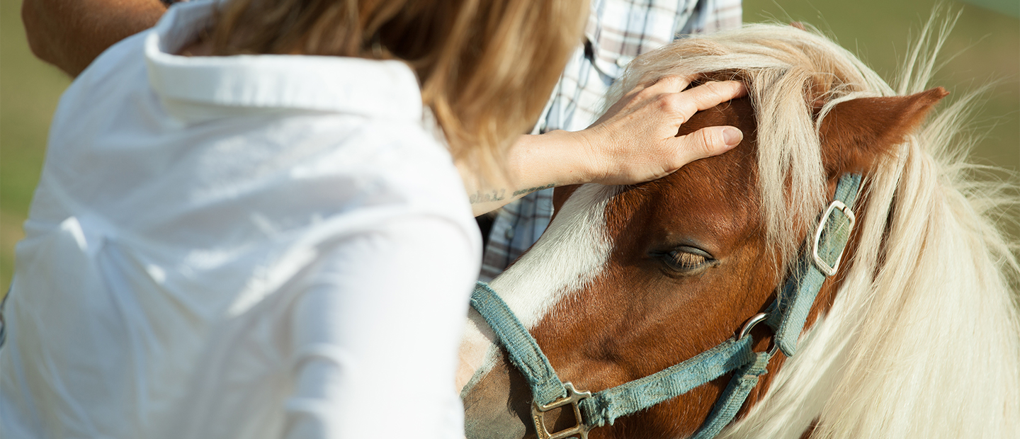 woman petting a horse's head