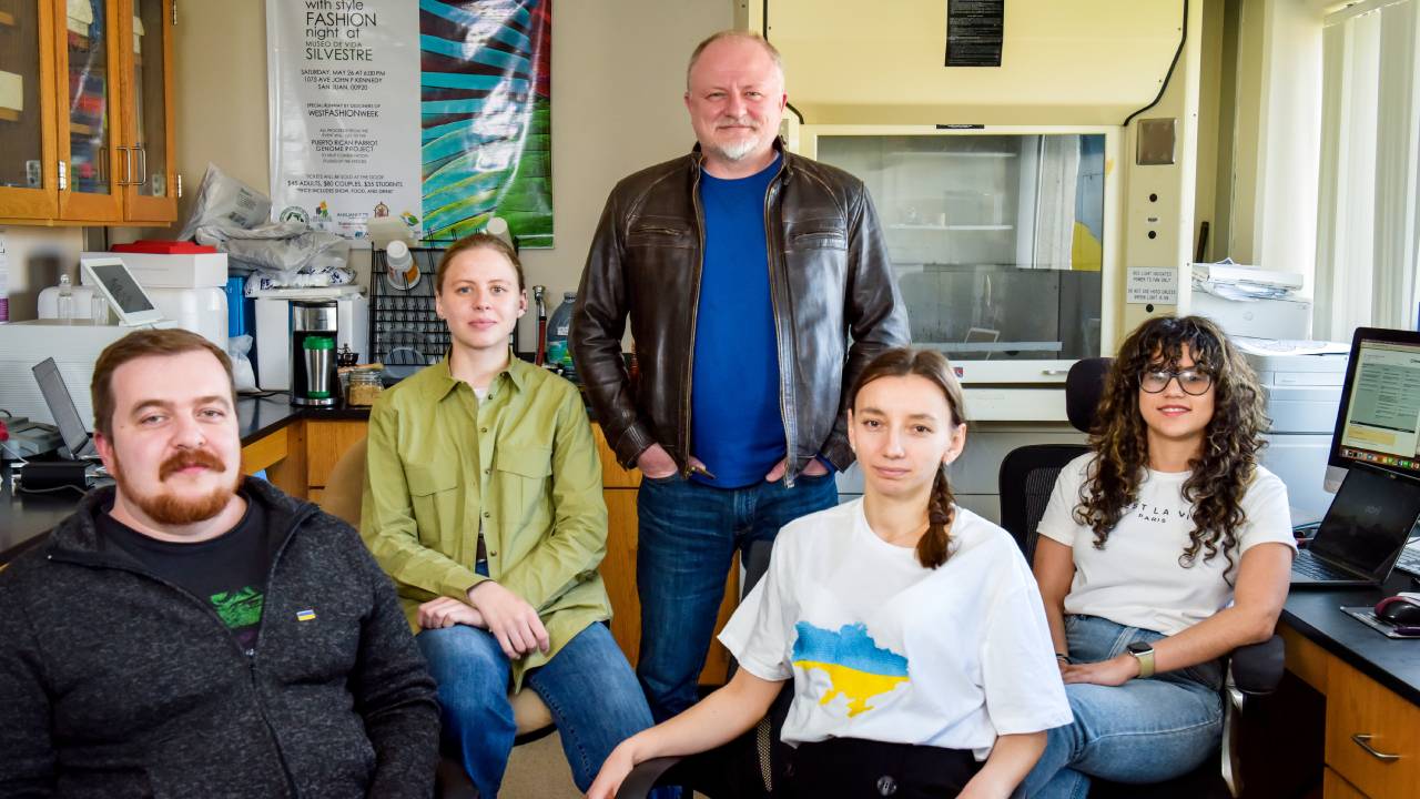 Diabetes research group
